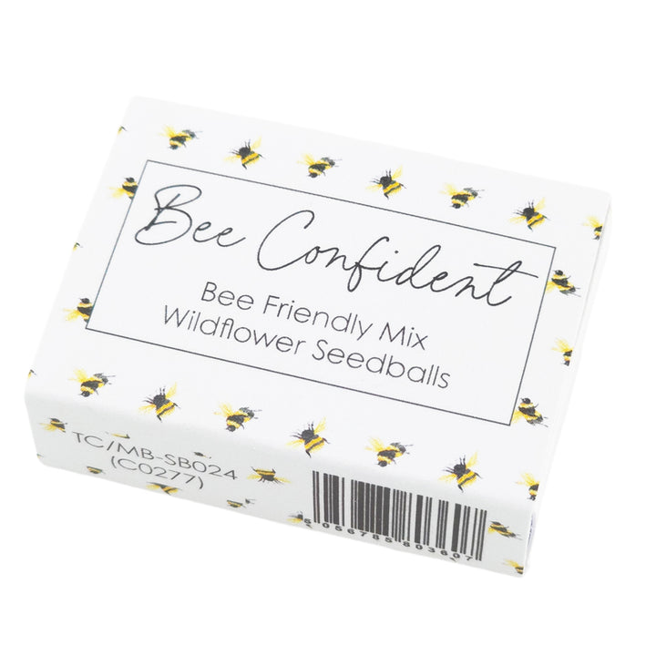 Bee Confident | Seedball Matchbox | Bee Mix | Cracker Filler | Little Gift