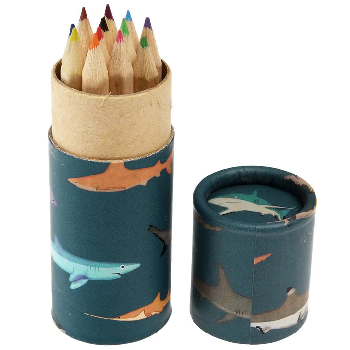 Sharks | Tube of 12 Short Coloured Pencils | Mini Gift | Cracker Filler