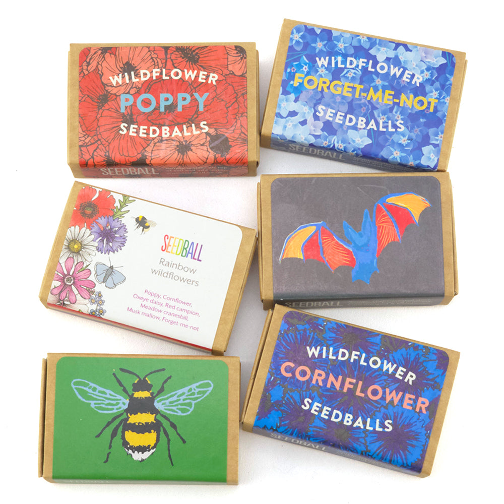 Seedballs in Matchboxes | Bundle of 6 Cracker Filllers | Cracker Making Gifts