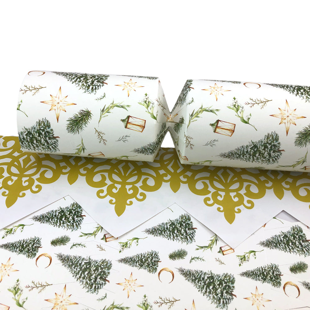 Classic Watercolour Christmas | Cracker Making Craft Kit | Make &amp; Fill Your Own
