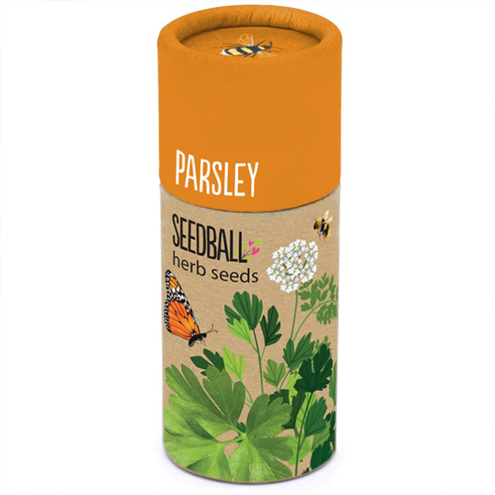 Parsley | Luxury Tube of Seedballs | Cracker Filler | Little Gift