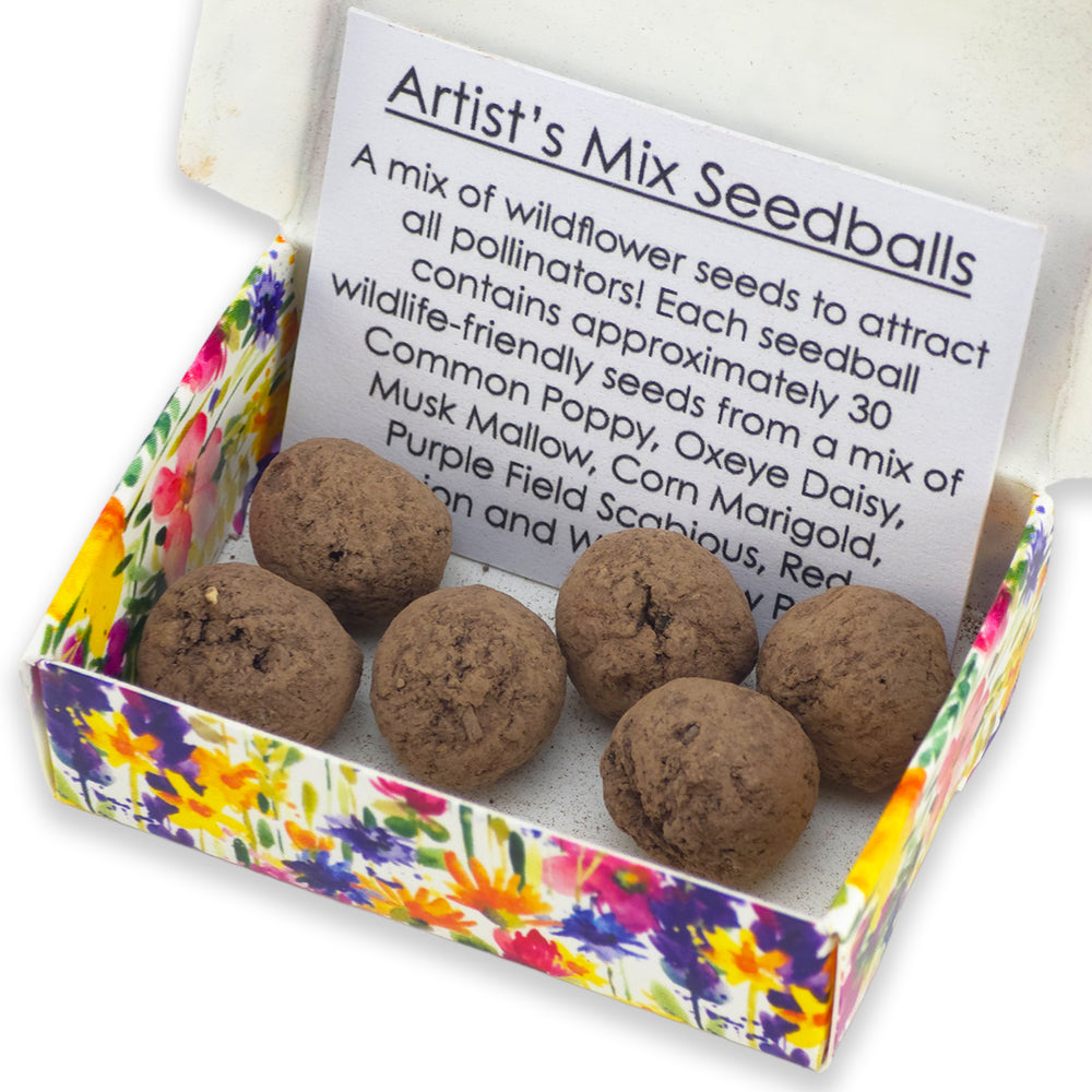 Flowers Are Like Grandparents | Artist Mix | 6 Seedball Box | Cracker Filler