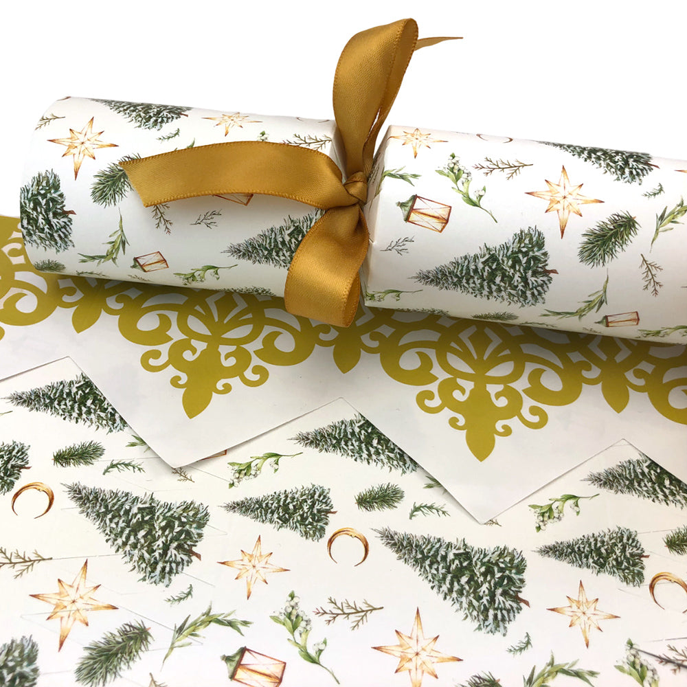 Classic Watercolour Christmas | Cracker Making Craft Kit | Make &amp; Fill Your Own