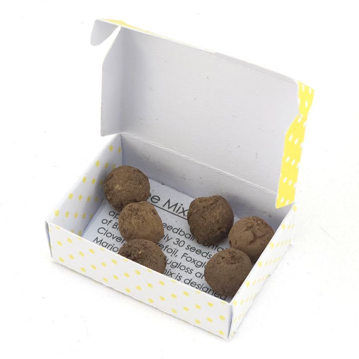 Happy Easter | Springtime Polka Dots | 6 Seedball Box | Bee Mix | Cracker Filler