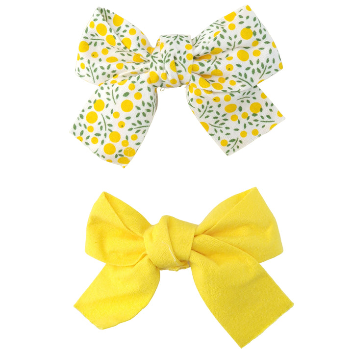 Pretty Floral Hair Slides for Girls | Single 2-Pack | Little Gift | Cracker Filler