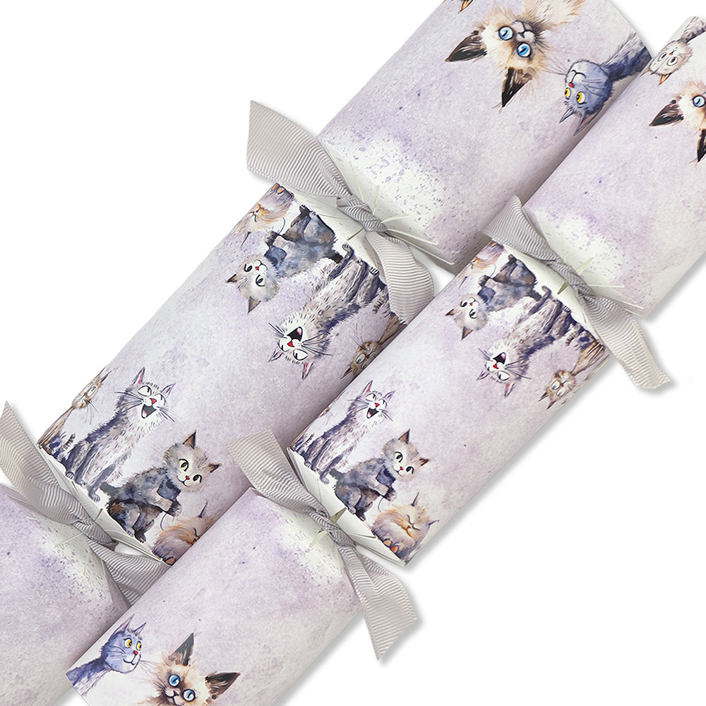 Funny Cats | Cracker Making Craft Kit | Make & Fill Your Own