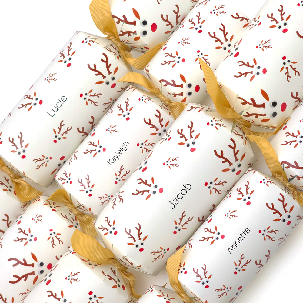 Personalised Cracker Making Craft Kit | Googly Rudolph | Minimum 4