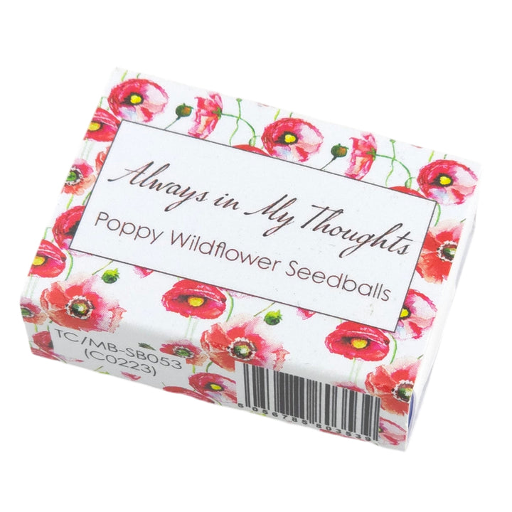 Always in My Thoughts | 6 Seedball Box | Poppies | Cracker Filler | Little Gift