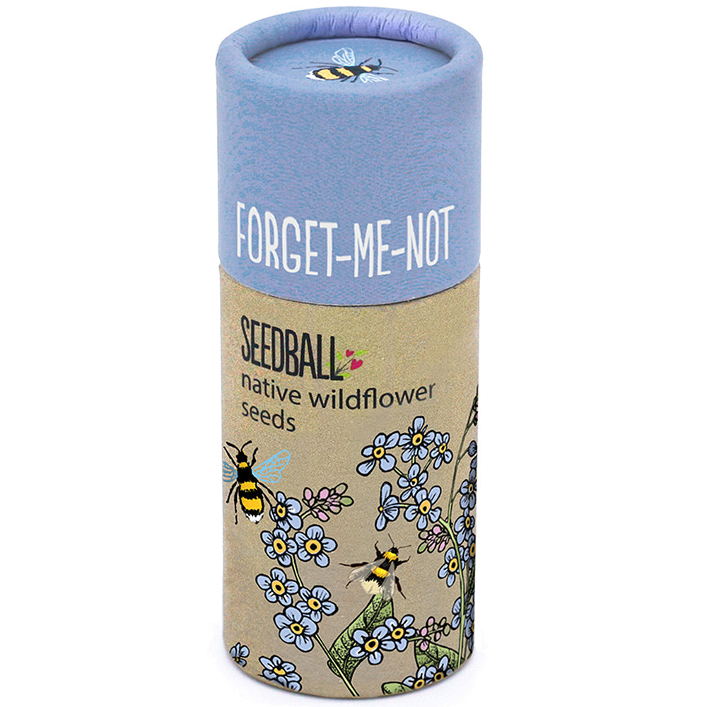 Forget Me Not Seeds | Luxury Tube of Seedballs | Cracker Filler | Mini Gift