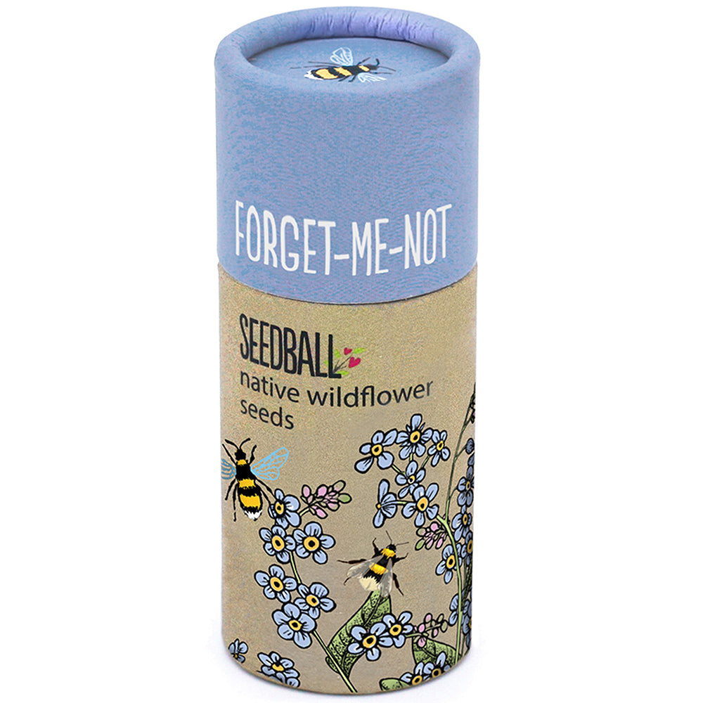 Forget Me Not Seeds | Luxury Tube of Seedballs | Cracker Filler | Little Gift