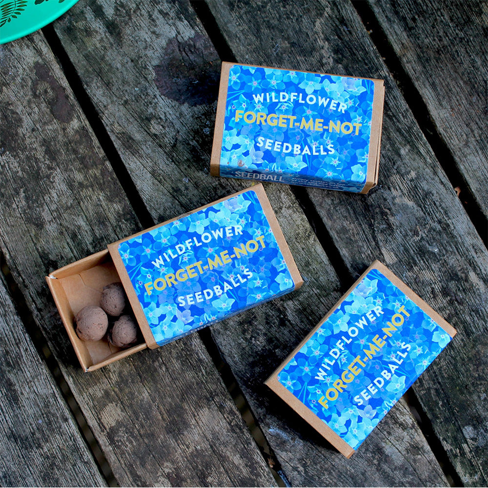 Forget Me Nots | Seedball Matchbox | Cracker Filler | Mini Gift