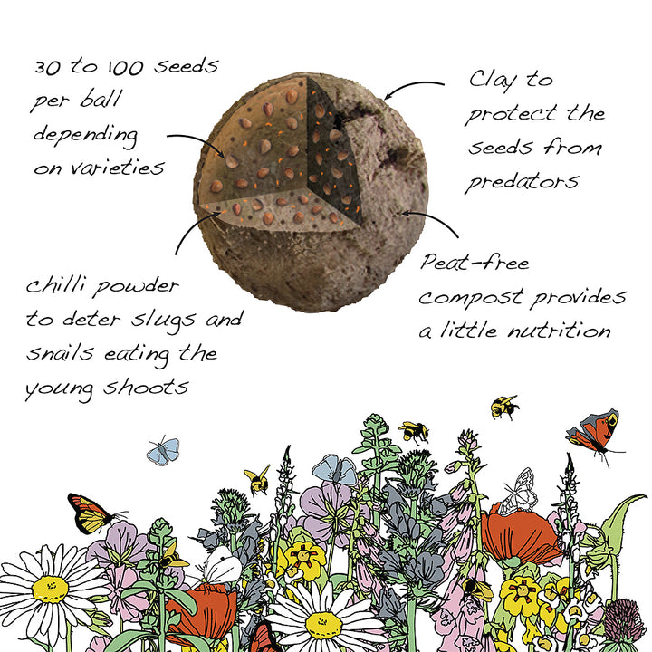 Bee Friendly Plants | Seedball Matchbox | Cracker Filler | Mini Gift