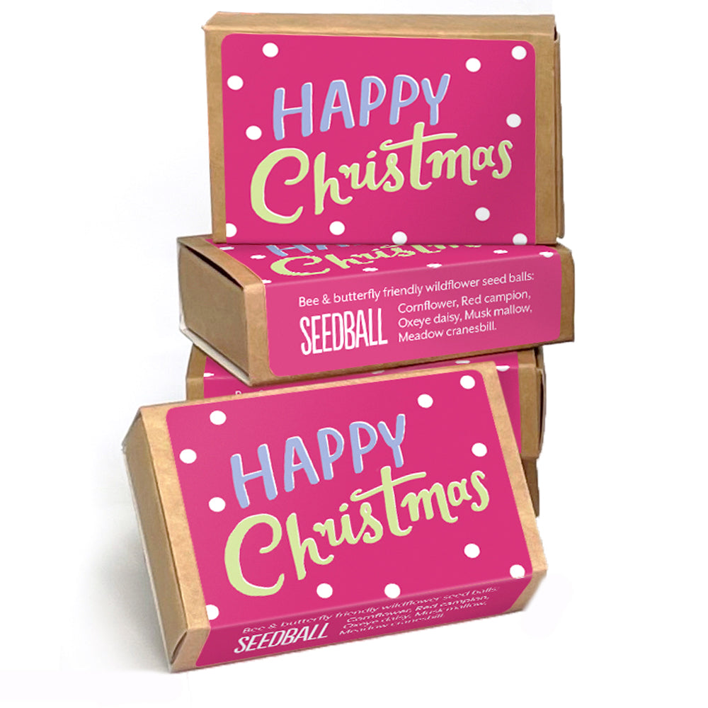 Happy Christmas | Seedball Matchbox | Cracker Filler | Mini Gift