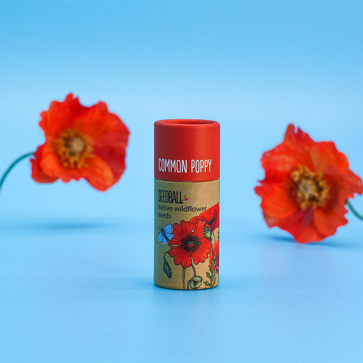 Poppy Seeds | Luxury Tube of Seedballs | Cracker Filler | Mini Gift