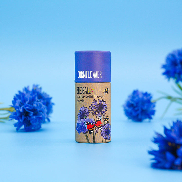 Cornflower Seeds | Luxury Tube of Seedballs | Cracker Filler | Mini Gift