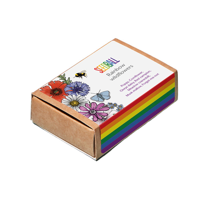 Rainbow Wildflowers | Seedball Matchbox | Cracker Filler | Mini Gift