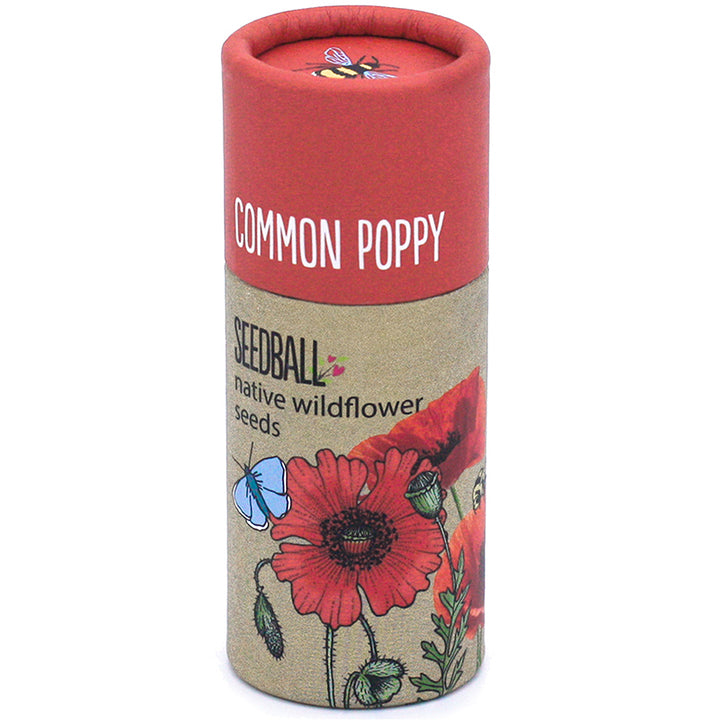 Poppy Seeds | Luxury Tube of Seedballs | Cracker Filler | Mini Gift