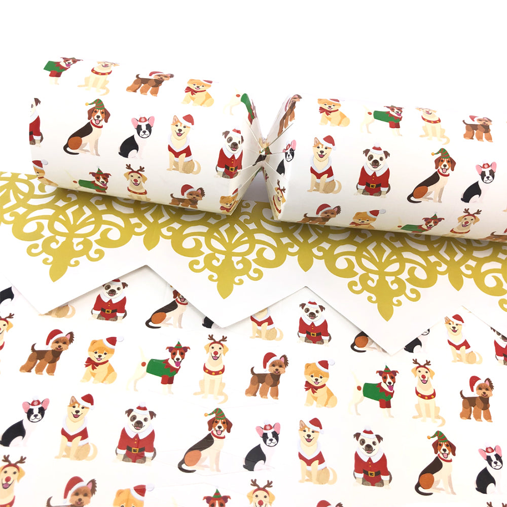 Christmas Dogs Cracker Making Kits - Make & Fill Your Own