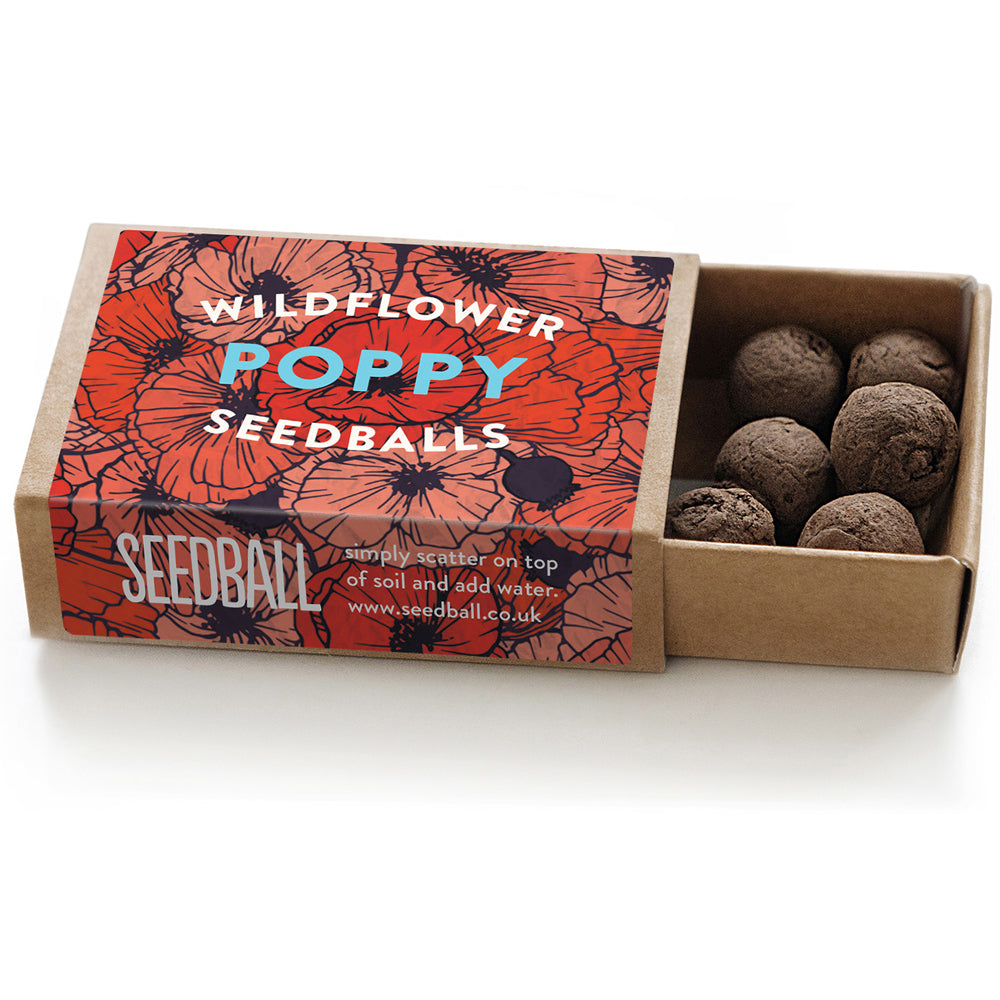 Poppy Seeds | Seedball Matchbox | Cracker Filler | Little Gift