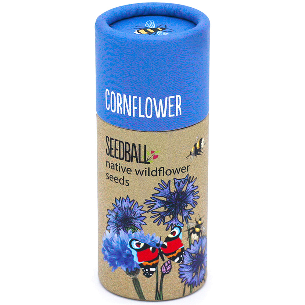Cornflower Seeds | Luxury Tube of Seedballs | Cracker Filler | Mini Gift
