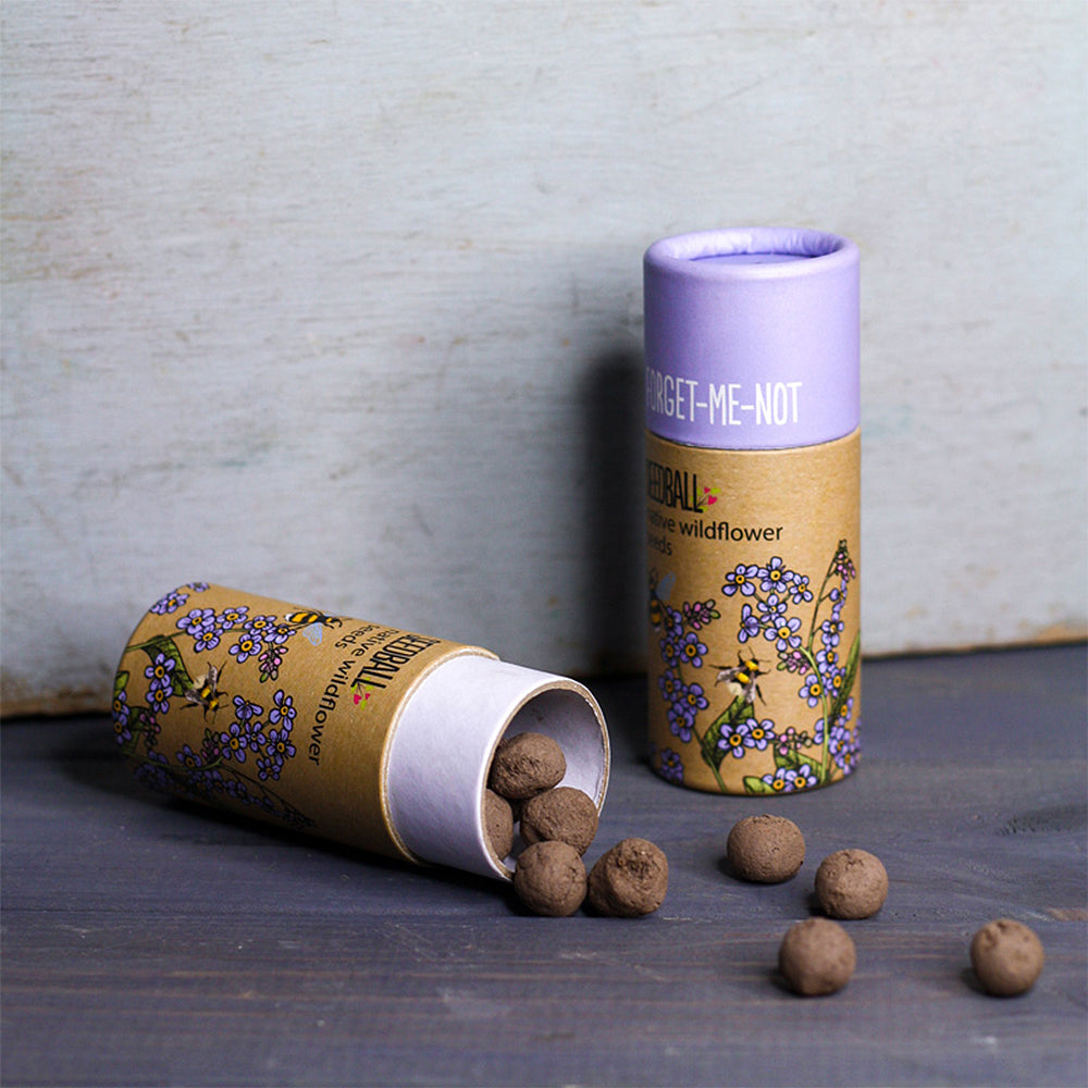 Forget Me Not Seeds | Luxury Tube of Seedballs | Cracker Filler | Little Gift