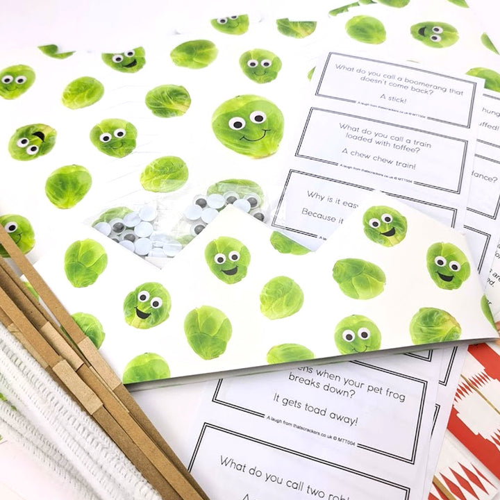 10 Googly Sprout Complete Basic Christmas Cracker Making Kit with Pipecleaners & Eyes
