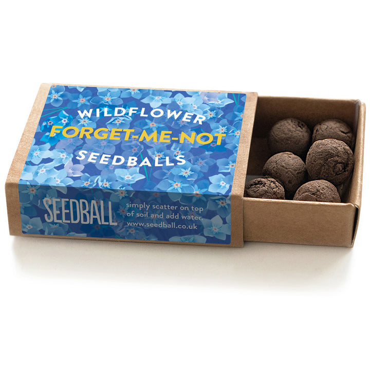Forget Me Nots | Seedball Matchbox | Cracker Filler | Mini Gift