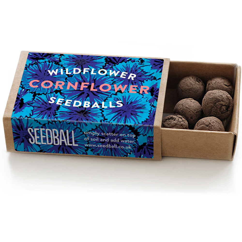 Cornflowers | Seedball Matchbox | Cracker Filler | Mini Gift