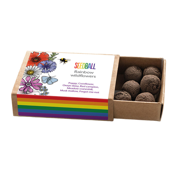 Rainbow Wildflowers | Seedball Matchbox | Cracker Filler | Little Gift