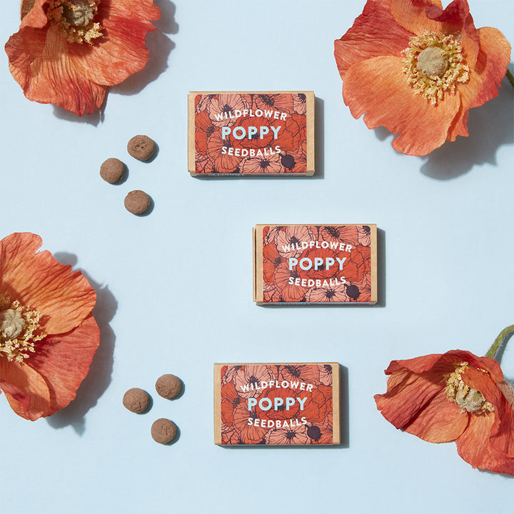 Poppy Seeds | Seedball Matchbox | Cracker Filler | Mini Gift