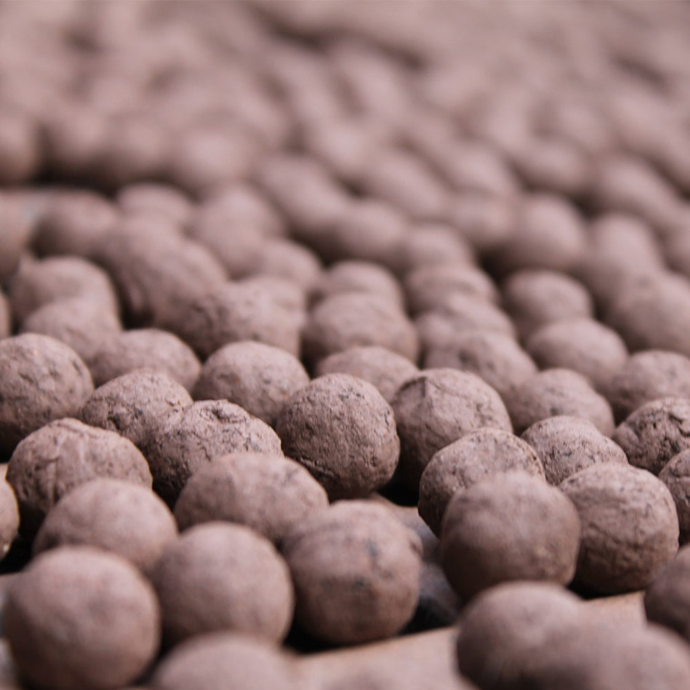 Poppy Seeds | Seedball Matchbox | Cracker Filler | Little Gift