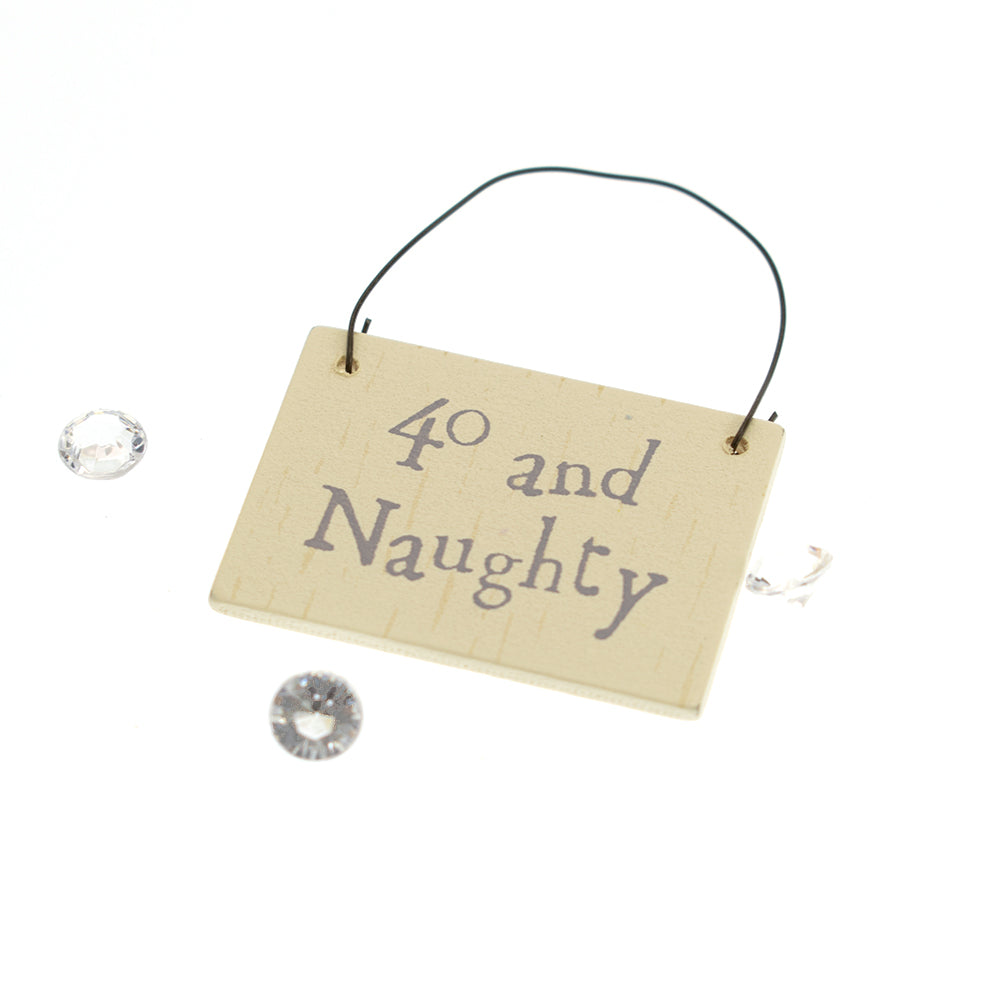 40 and Naughty Mini Plaque Hanger & Sparkles Bag | Cracker Filler | Little Gift